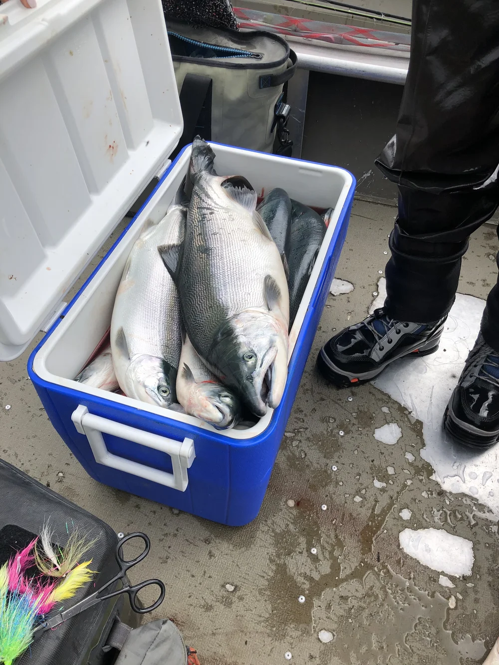Alaska Fly-Fishing CME Adventure · Photo 4