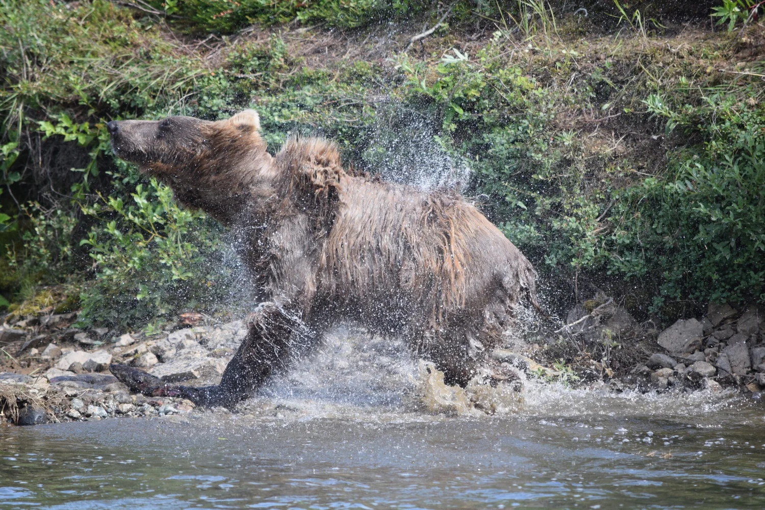 Alaska Fly-Fishing CME Adventure · Photo 5