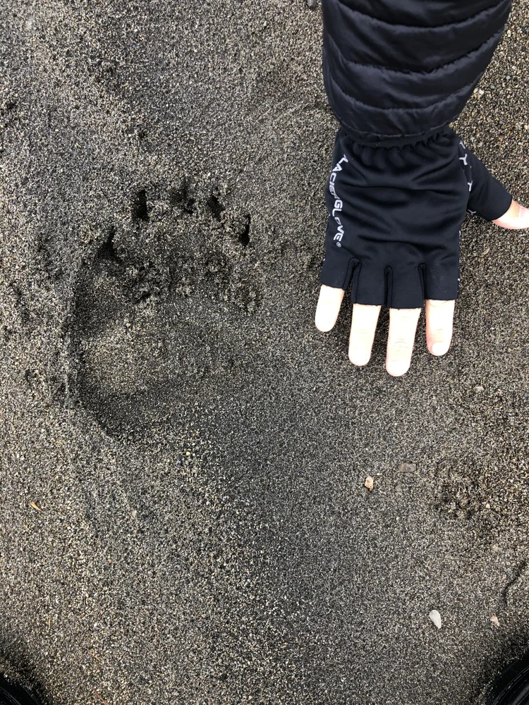 Alaska Fly-Fishing CME Adventure · Photo 3