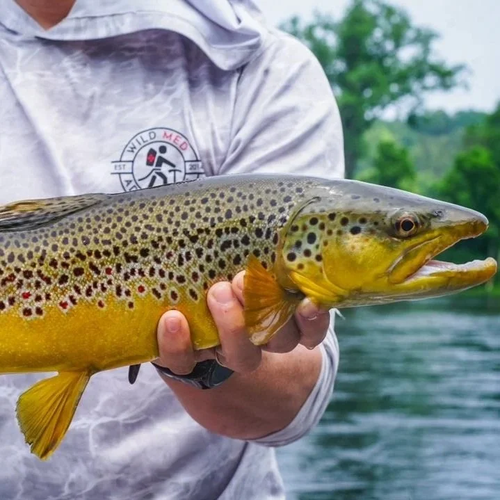 Arkansas Fly Fishing & Wilderness Medicine CME
