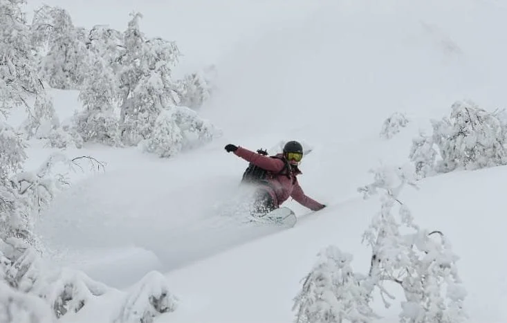Patagonia Ski CME Adventure