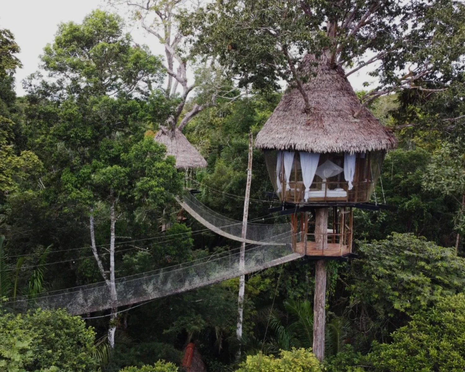 Peru Jungle Medicine CME – Treehouse Lodge