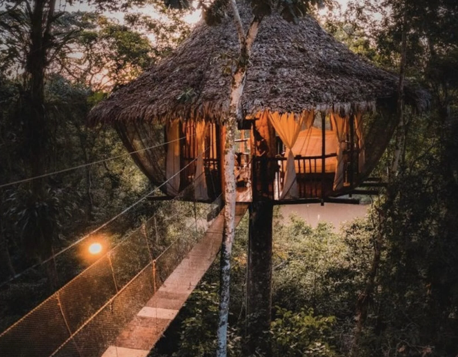 Peru Jungle Medicine CME – Treehouse Lodge
