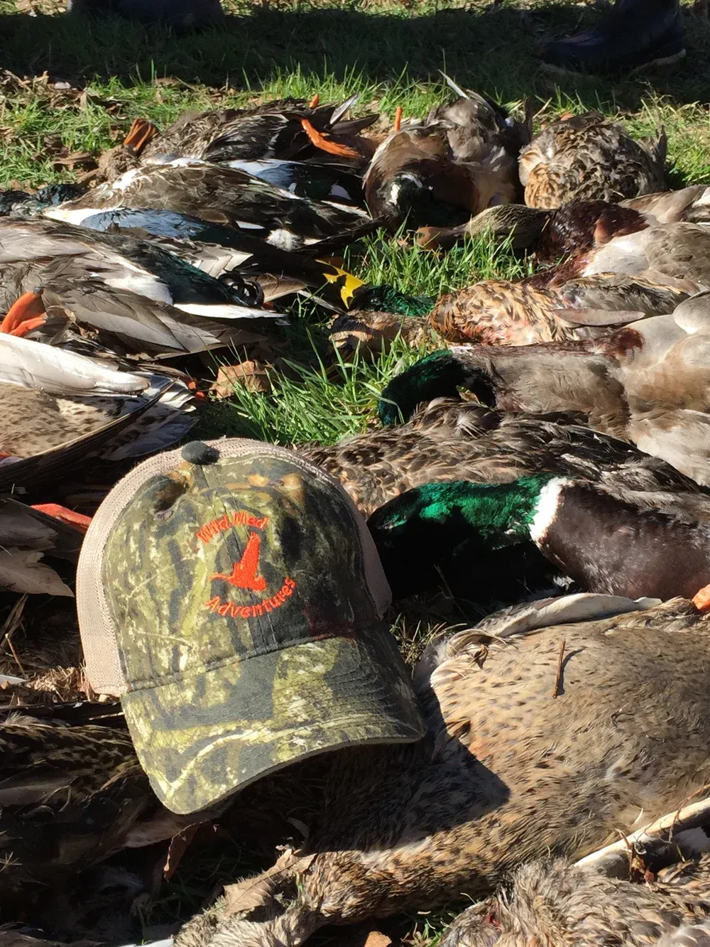 Duck & Goose Hunting CME Conference · Photo 16