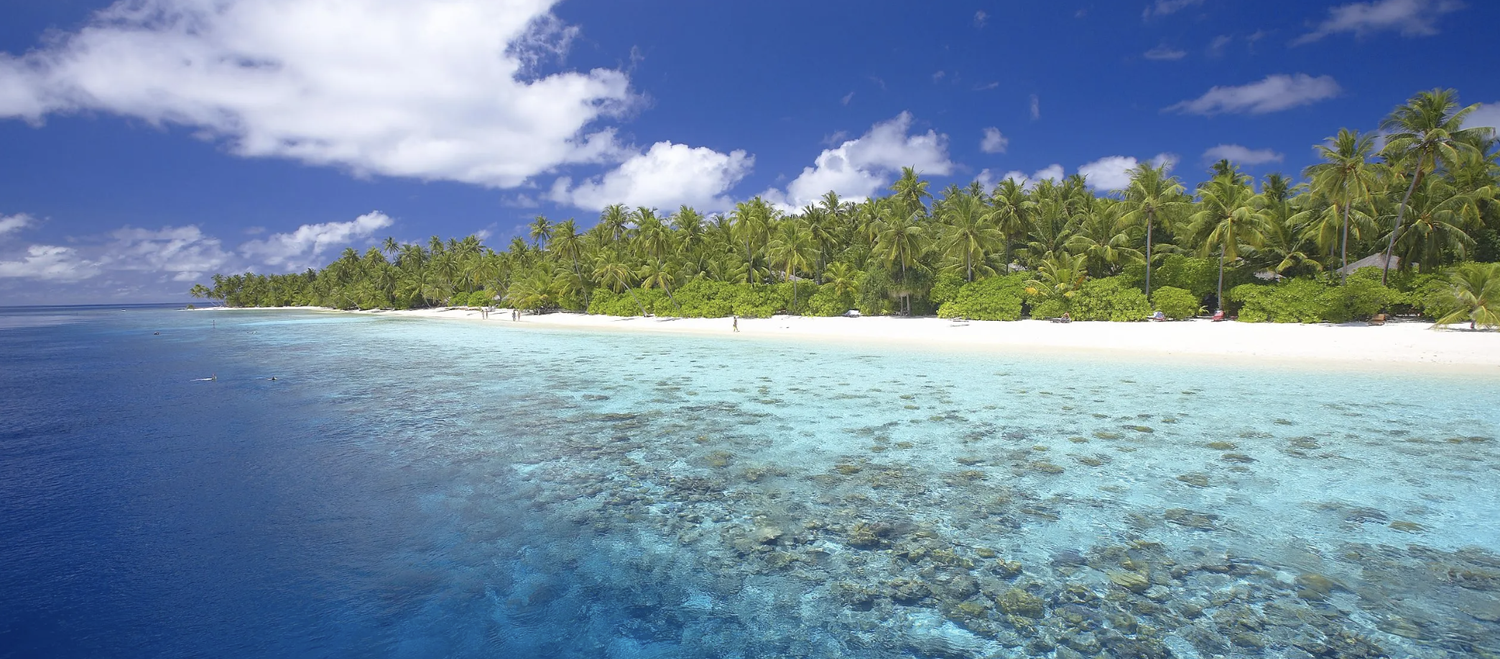 Maldives LiveAboard Adventure CME